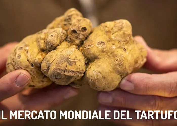 Vivi Il Διαμέρισμα *